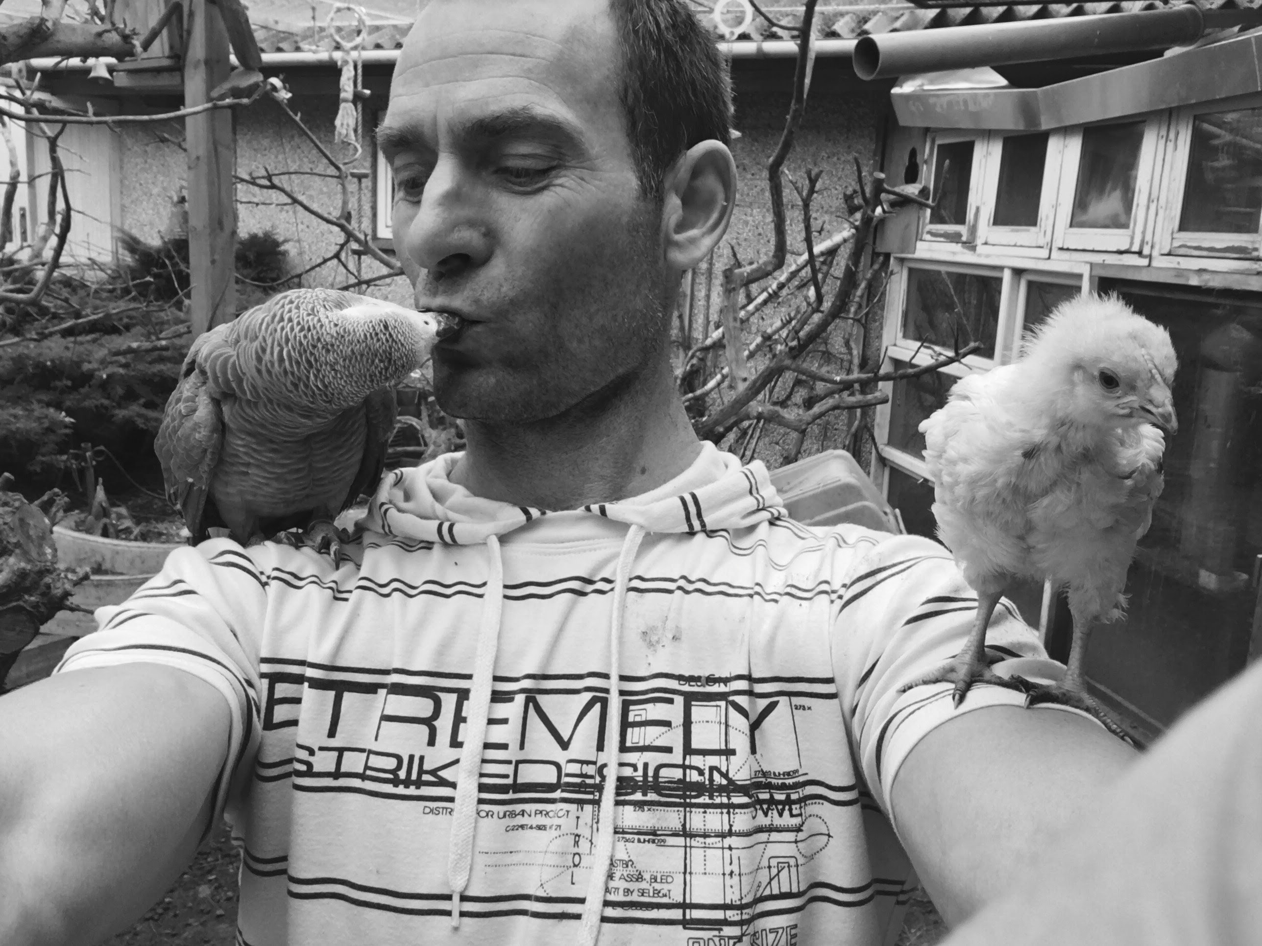 Viktor den jaco papegøje – World Animal Rescue