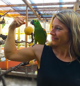 Amazone papegøje