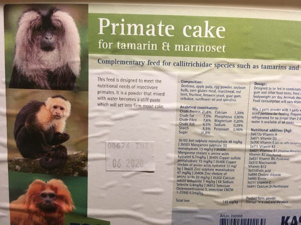 Primate cake, Tamarin & Marmoset