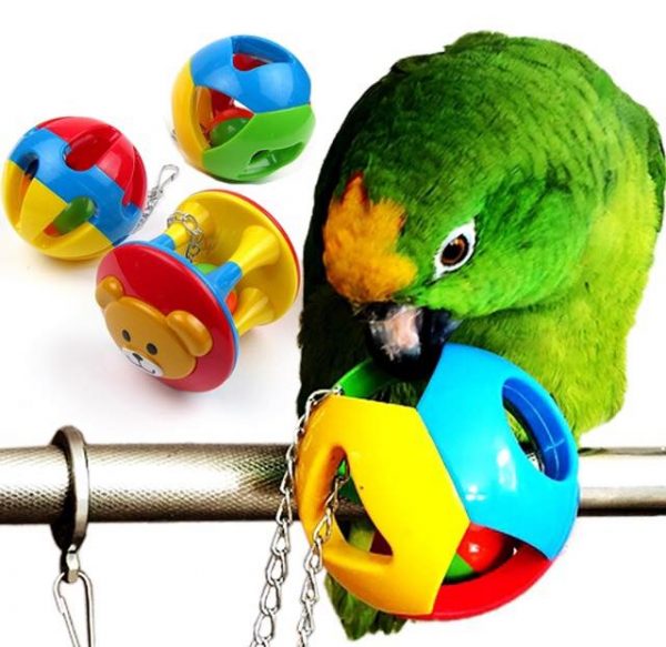 Papegøje bold