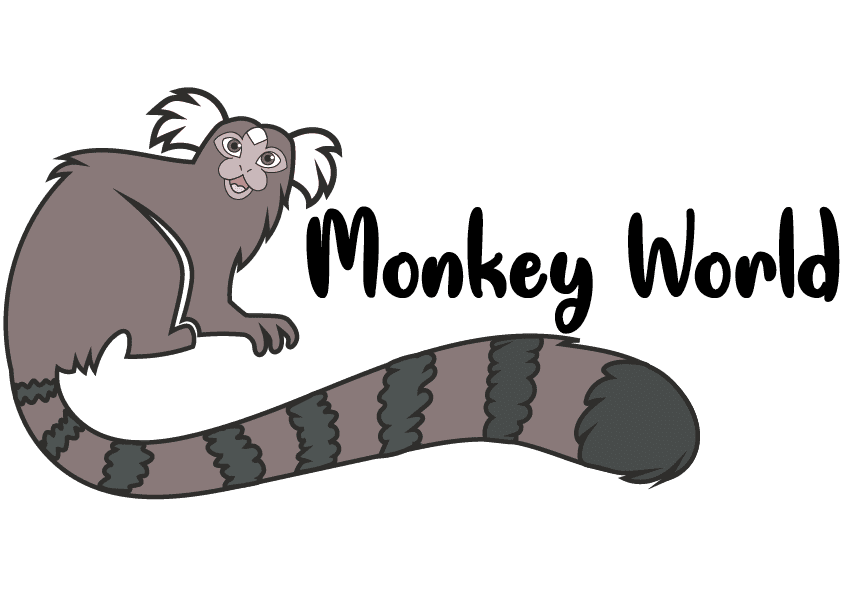 new monkey world logo